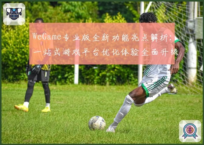 WeGame专业版全新功能亮点解析：一站式游戏平台优化体验全面升级